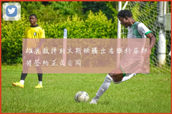 雄鹿裁掉利文斯顿腾出名额科菲即将签约正式合同