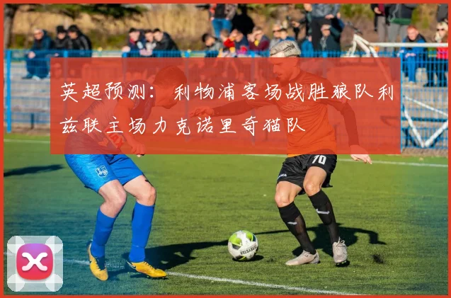 英超预测：利物浦客场战胜狼队利兹联主场力克诺里奇猫队